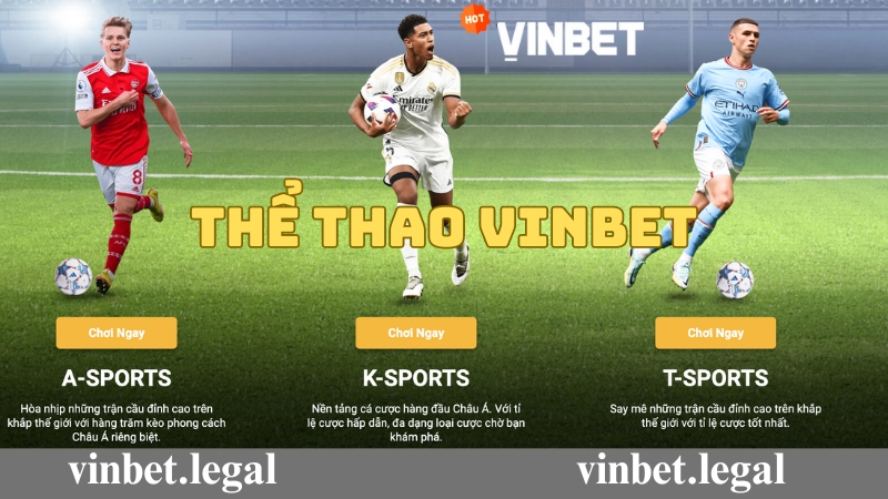 Giới thiệu tổng quan về sảnh thể thao Vinbet