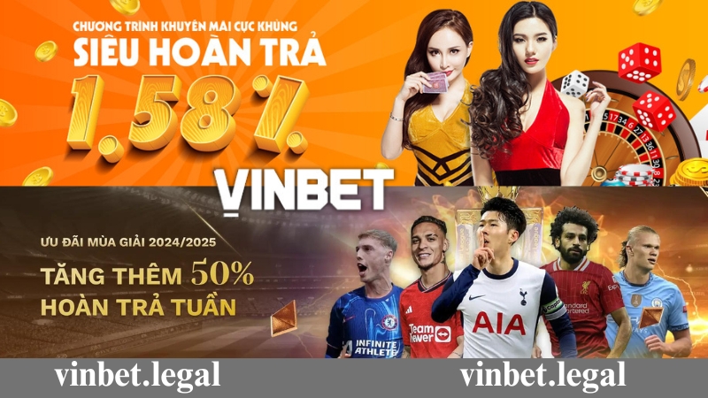 Giới thiệu chung về khuyến mãi Vinbet