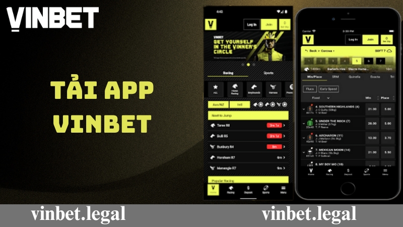 Hướng dẫn tải app Vinbet chi tiết dành cho người mới